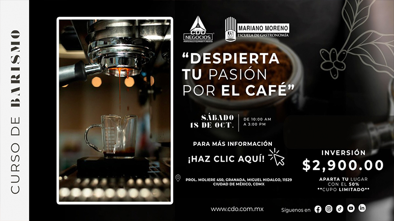 diplomado de barismo