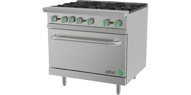 Estufa asber con horno AER-6-36-EM