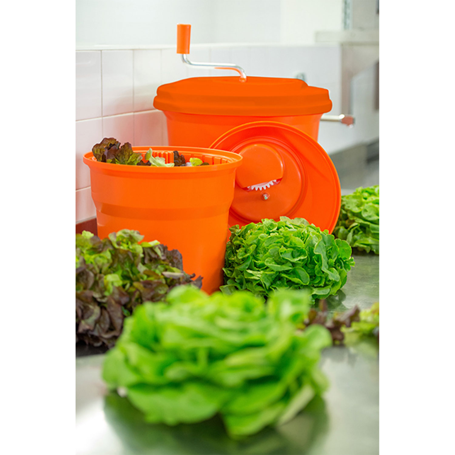 secador de verduras dynamic