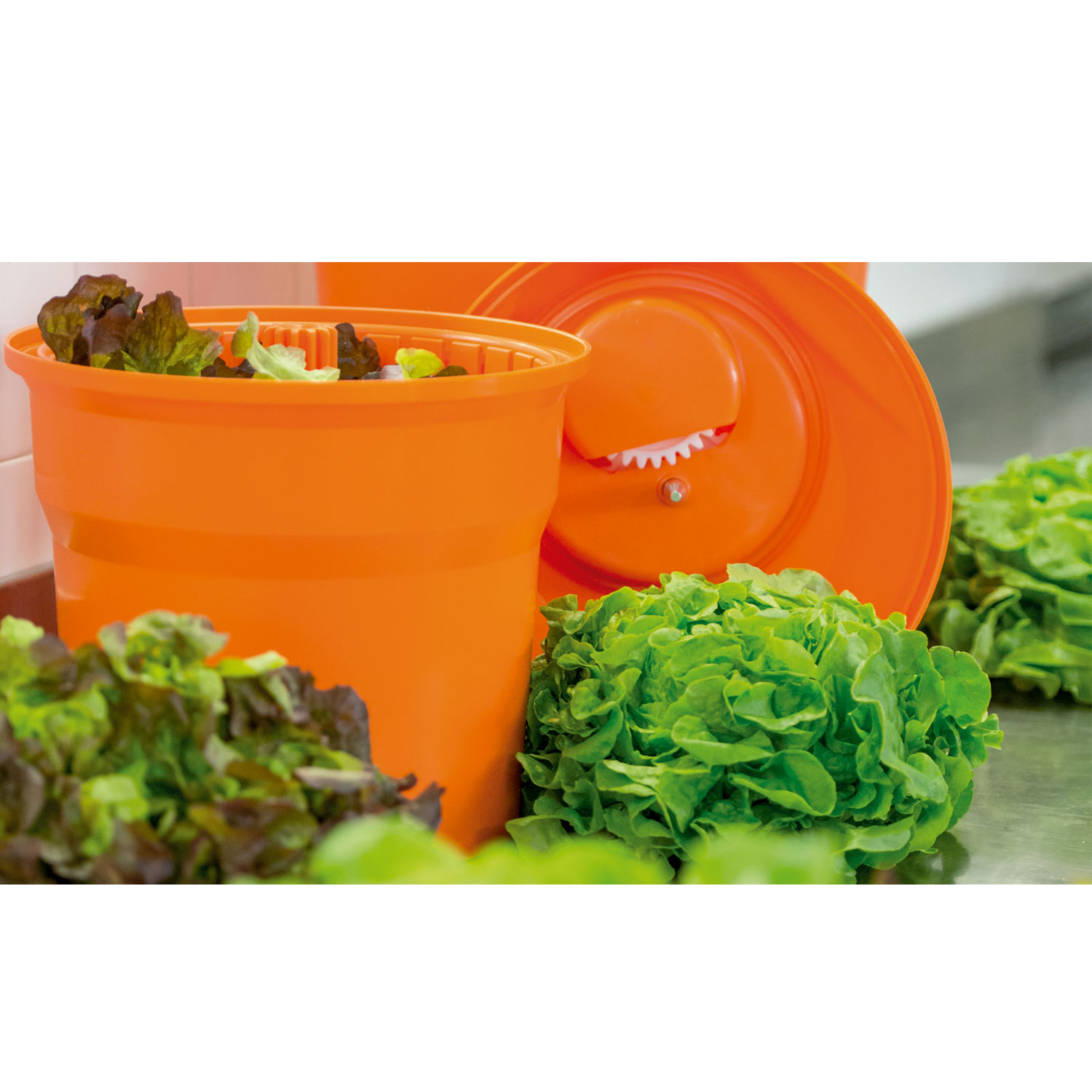 secador de verduras dynamic