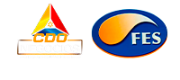 FES - CDO Negocios
