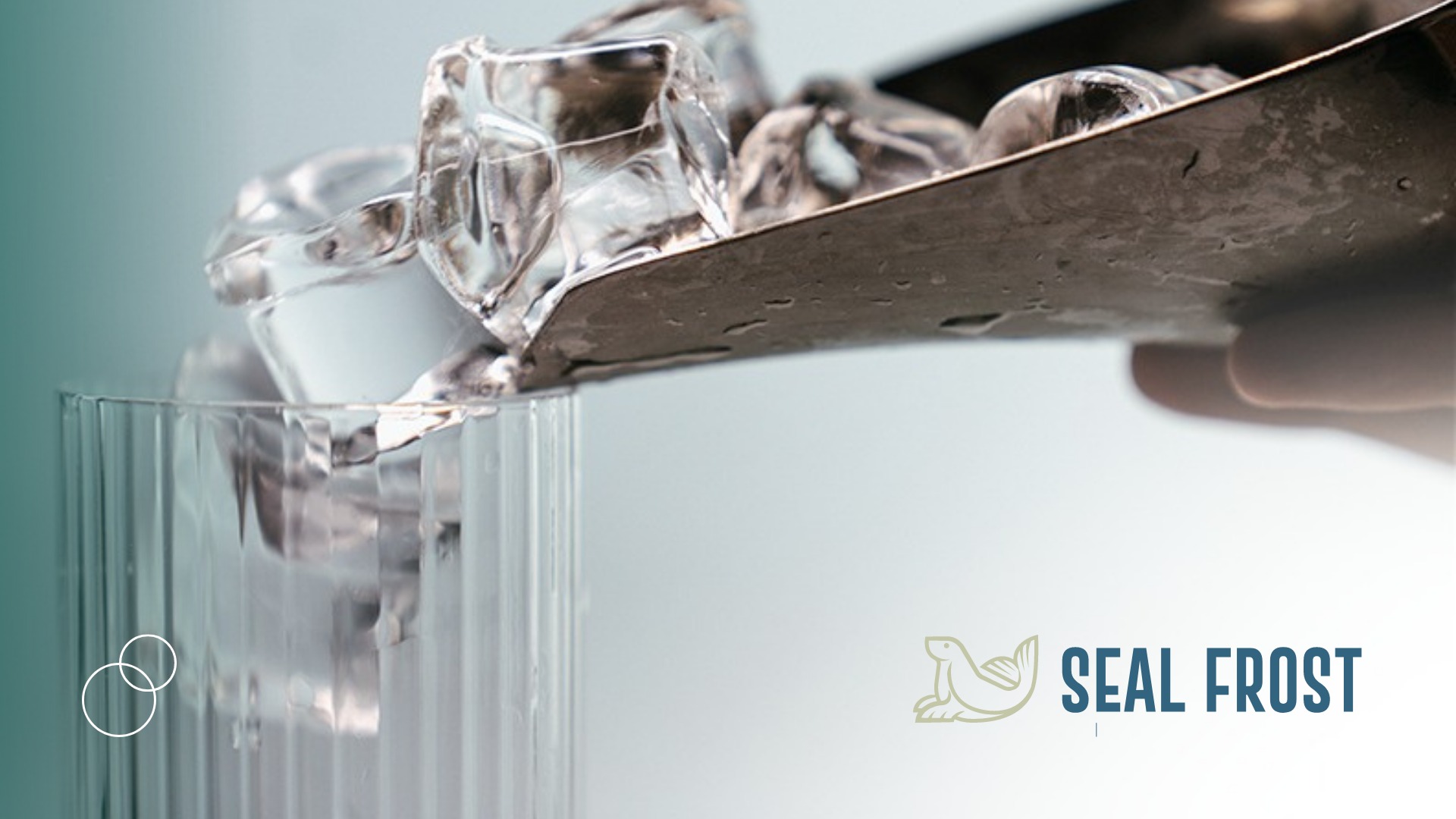 maquinas de hielo Seal Frost